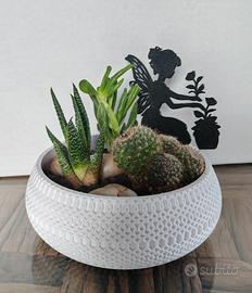 Composizione piante grasse 