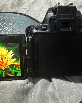 Nikon D5500