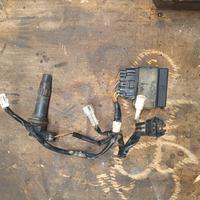 centralina Yamaha yzf 250 