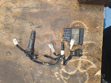 centralina Yamaha yzf 250 