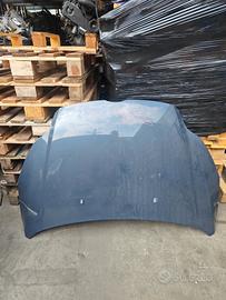 COFANO FORD FOCUS 1.6 TD 2011 T1DB 133/2025