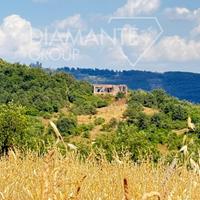 Azienda agricola con terreno e casale