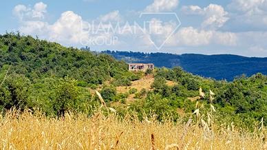 Azienda agricola con terreno e casale