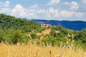 Azienda agricola con terreno e casale