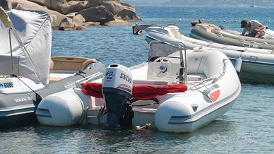 Gommone Selva D490