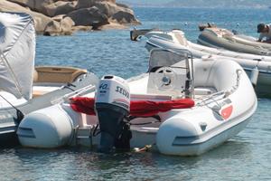 Gommone Selva D490