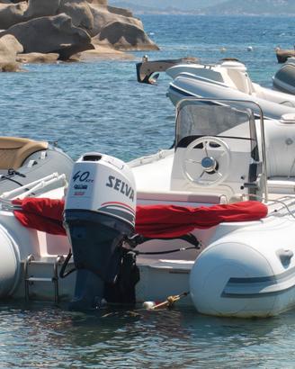 Gommone Selva D490