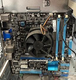 Scheda madre Asus p8h61 m pro/cm6630-8/dp_mb