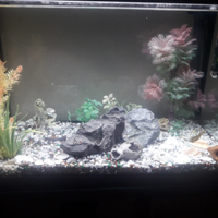 Askoll aquario pure Led