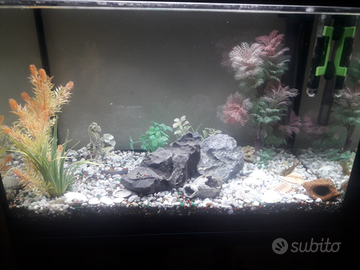 Askoll aquario pure Led