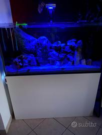 ACQUARIO PROFESSIONALE MALBERTI 120x60x60 completo