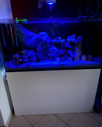 ACQUARIO PROFESSIONALE MALBERTI 120x60x60 completo