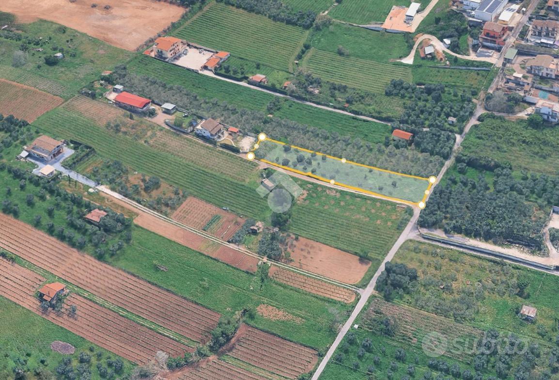 TER. AGRICOLO A ROMA - Vista 4