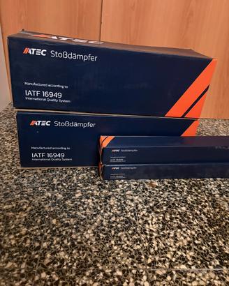 Ammortizzatori anteriori e posteriori. ATEC