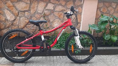 specialized  20