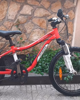 specialized  20