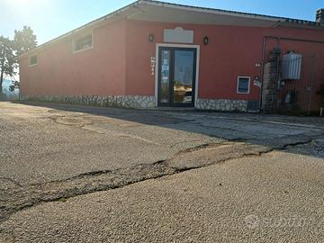 Negozio Cervaro [COLETTA_90ACG]