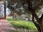 Immagine 27