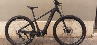 e-mtb Canyon