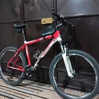 mountainbike da uomo