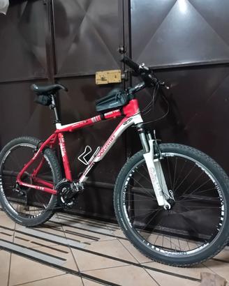 mountainbike da uomo