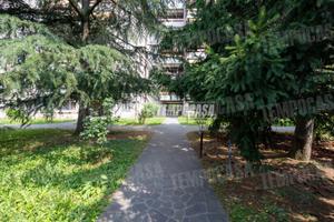 BILOCALE LOCATO IDEALE PER INVESTIMENTO!! A DUE PA