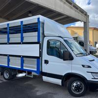Iveco Daily 35c13 trasporto animali vivi Cavalli