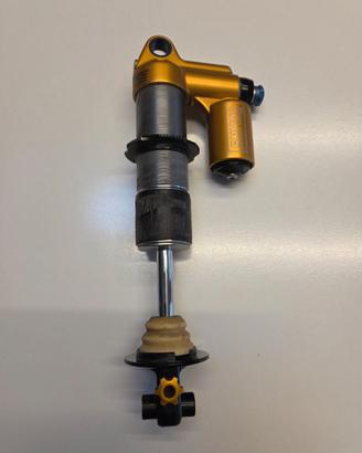 ammo Ohlins