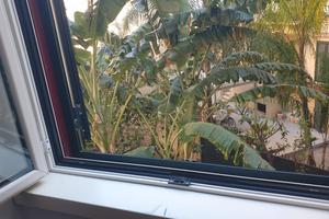 Camporeale Dante esavani per B&B accetto permuta