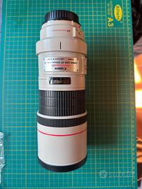 Canon EF 300mm f/4 L USM