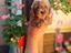 Immagine 24