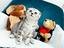 Immagine 5