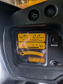 Honda CBR 1100 XX super blackbird