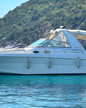 Natante Sea Ray 310 Sunduncer Pronto alla boa
