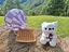 Immagine 3