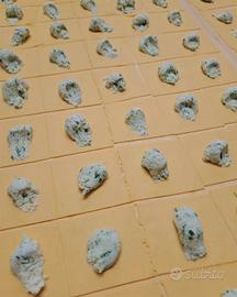 Rif.1223| attivita'/lic.commerciale piacenza