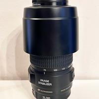 Canon EF 70-300mm f/4-5.6 IS USM