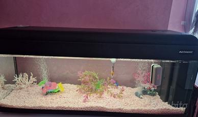 Acquario 120 litri
