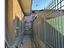 Immagine 11