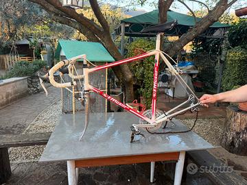 Bicicletta moser