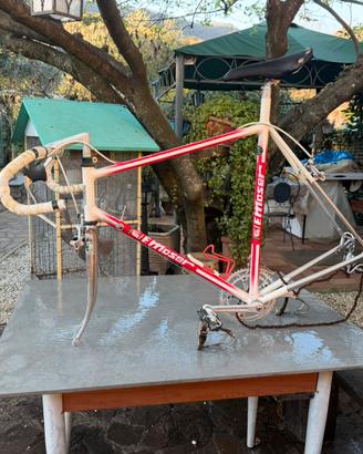 Bicicletta moser