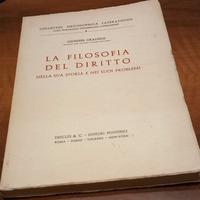 La filosofia del diritto storia e problemi 