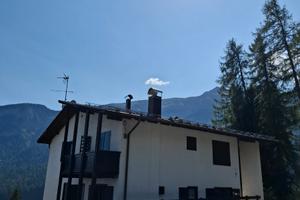 Bilocale Panoramico sulle piste da sci