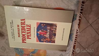 Manuale di procedura Penale - seconda edizione 199