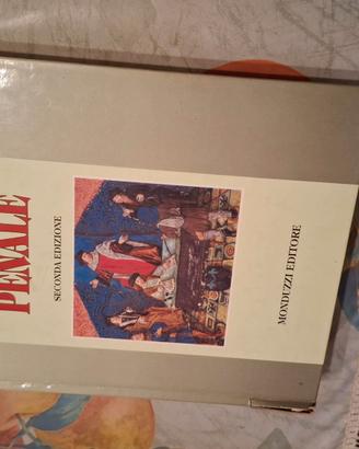 Manuale di procedura Penale - seconda edizione 199