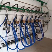 Impianto di mungitura trasporto latte