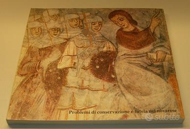 Conservazione e tutela architettonica nel novarese