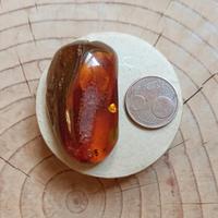 pietra di ambra fossile 