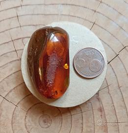 pietra di ambra fossile 