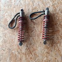 ammortizzatori posteriori bitubo